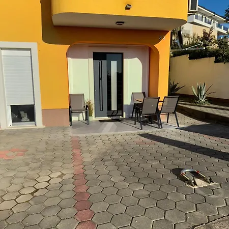 Mango * جادرانوفو